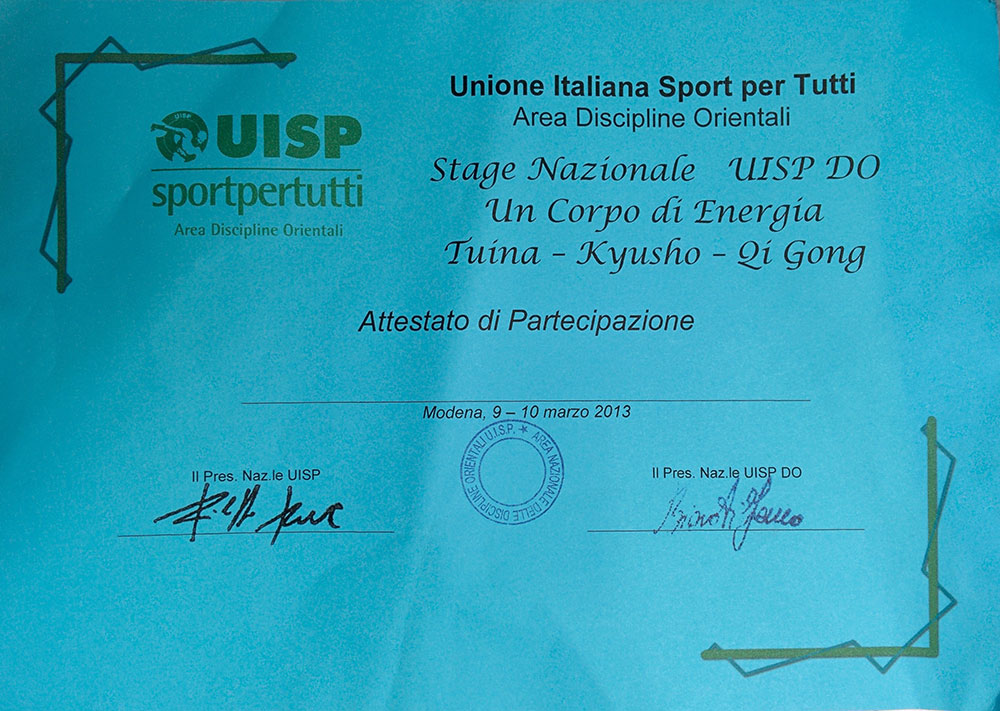 Attestato-Kyusho-2013-03